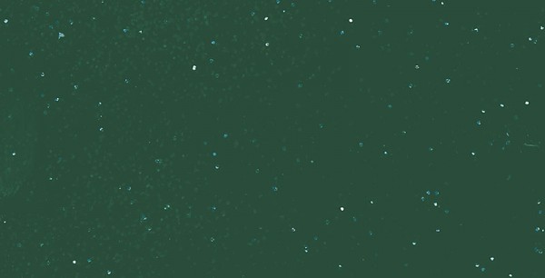 Polyhaube und Bug Dark Green Metallic