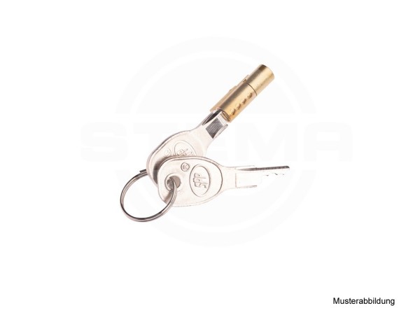 Diebstahlsicherung Steckschloss