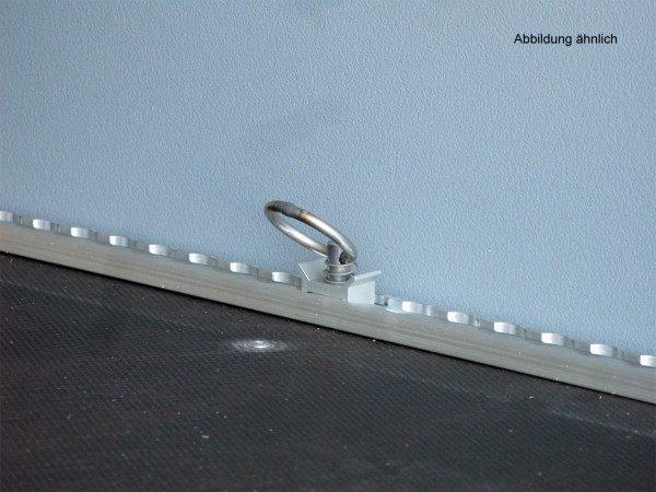 Zertifiziert Zurrpunkt für airlinerail (900daN)